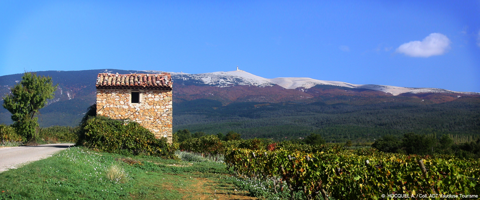 actualité terres en provence